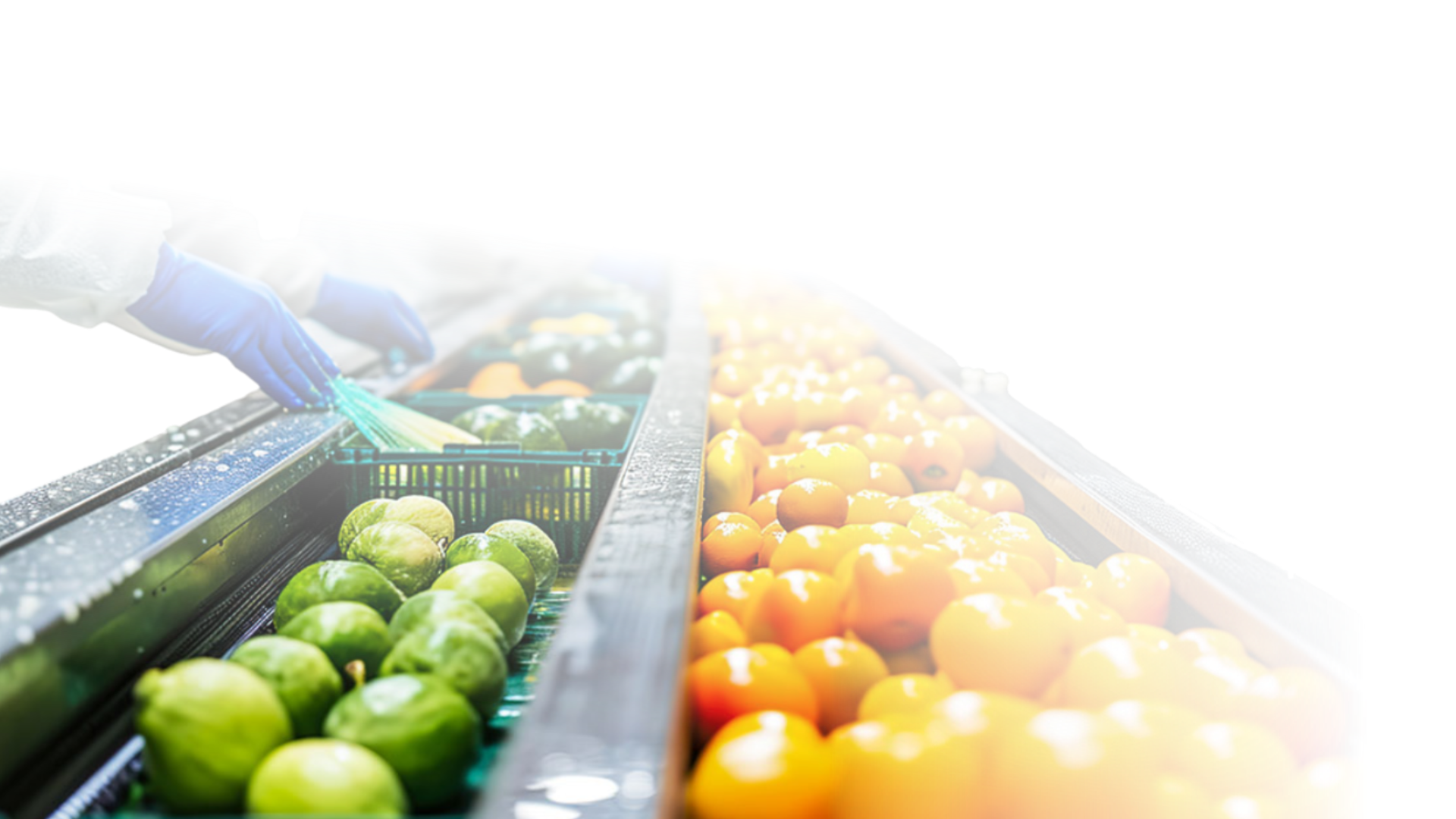Grado alimenticio